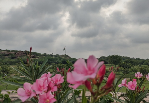 Pink flowers and clouds