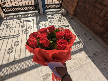 A hand holding red roses