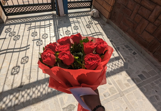A hand holding red roses