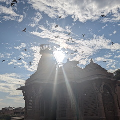 irds flying over temple